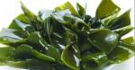 Kelp extract  Polysaccharides,Alginic acid, glucomannan